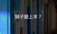 獅子愛上羊？