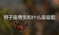 獅子座男生和什么座最配 男獅子座和什么座最配