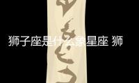 獅子座是什么象星座 獅子座是什么星象