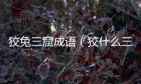 狡兔三窟成語(yǔ)（狡什么三窟）