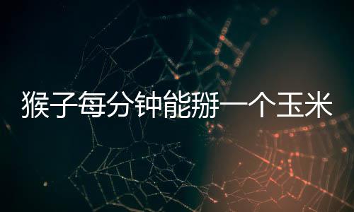 猴子每分鐘能掰一個玉米，在果園里，一只猴子5分鐘能掰幾個玉米?