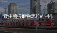猴頭菌提取物顆粒的制作方法和功效介紹