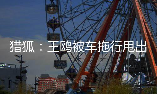 獵狐：王鷗被車拖行甩出10米遠這幕，看得觸目驚心，王凱心疼壞了