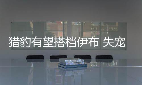 獵豹有望搭檔伊布 失寵左翼成為敲門磚