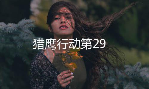 獵鷹行動(dòng)第29