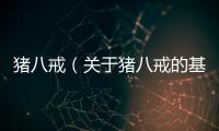 豬八戒（關(guān)于豬八戒的基本情況說明介紹）