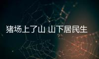 豬場上了山 山下居民生活遭了殃(圖)