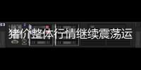 豬價整體行情繼續震蕩運行，隨著學校需求好轉或可支撐豬價