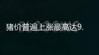 豬價普遍上漲最高達9.6元/斤