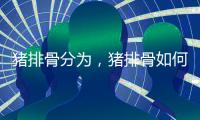 豬排骨分為，豬排骨如何劃分