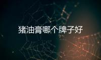 豬油膏哪個牌子好