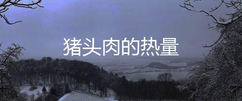 豬頭肉的熱量