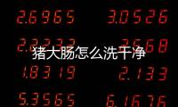 豬大腸怎么洗干凈