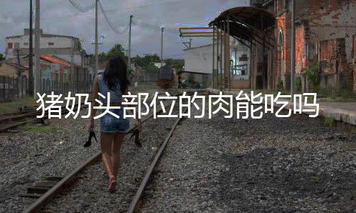 豬奶頭部位的肉能吃嗎