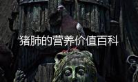 豬肺的營養(yǎng)價(jià)值百科