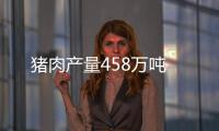豬肉產量458萬噸