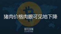 豬肉價(jià)格肉眼可見地下降 現(xiàn)在已跌破每斤15元
