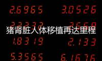 豬腎臟人體移植再達里程碑 首篇同行評審研究發表