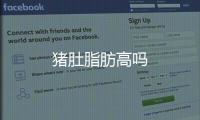 豬肚脂肪高嗎