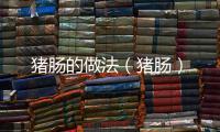 豬腸的做法（豬腸）