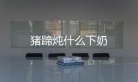 豬蹄燉什么下奶