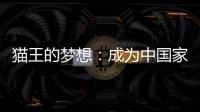 貓王的夢想：成為中國家具行業的IBM