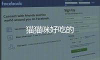 貓貓咪好吃的