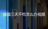 貓貓三天不吃怎么辦視頻？貓咪三天不吃不喝怎么回事