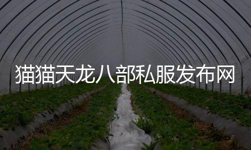 貓貓天龍八部私服發布網
