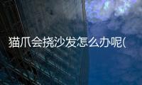貓爪會撓沙發怎么辦呢(貓抓撓沙發)