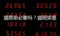 貓爬架必要嗎？貓爬架是必需品嗎