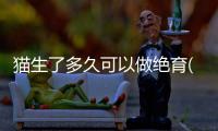 貓生了多久可以做絕育(貓咪生貓間隔多久)