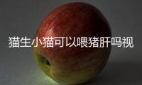 貓生小貓可以喂豬肝嗎視頻？貓咪生了可以吃罐頭嗎