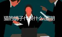 貓的胡子代表什么(貓胡子長(zhǎng)度代表什么)