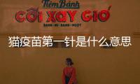 貓疫苗第一針是什么意思??？貓疫苗第一針是什么意思呀