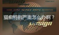貓癬特別嚴重怎么辦啊？貓癬很嚴重怎么辦