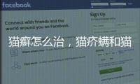 貓癬怎么治，貓疥螨和貓癬怎么區(qū)分