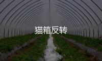 貓箱反轉