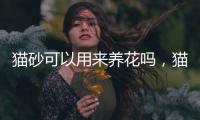 貓砂可以用來(lái)養(yǎng)花嗎，貓砂的正確使用方法