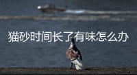 貓砂時(shí)間長(zhǎng)了有味怎么辦(貓砂夏天有味怎么辦)