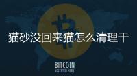 貓砂沒回來貓怎么清理干凈(貓砂沒回來怎么辦)