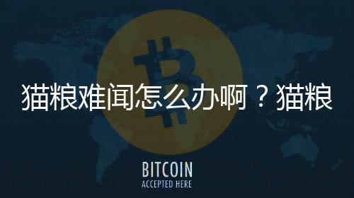 貓糧難聞怎么辦啊？貓糧氣味難聞