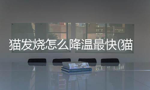 貓發(fā)燒怎么降溫最快(貓發(fā)燒怎么給貓降溫)