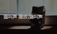 貓叫聲 播放(貓叫聲 播放叫貓過來)