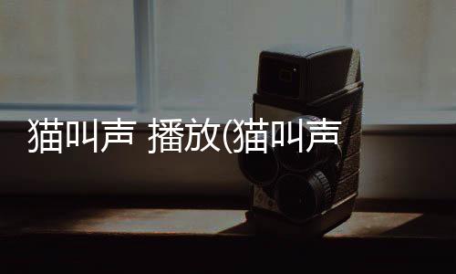 貓叫聲 播放(貓叫聲 播放叫貓過來)