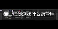 貓口腔潰瘍吃什么藥管用？貓咪潰瘍吃什么藥最好