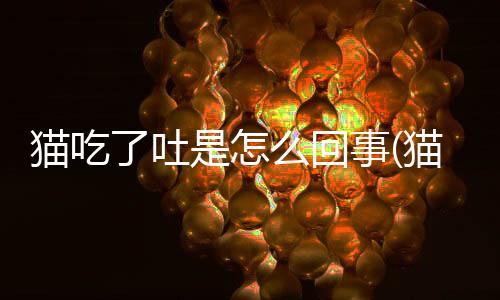 貓吃了吐是怎么回事(貓吃了老鼠藥怎么辦)