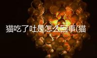 貓吃了吐是怎么回事(貓吃了老鼠藥怎么辦)