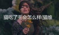 貓吃了毛會怎么樣(貓維生素b吃多了怎么辦)