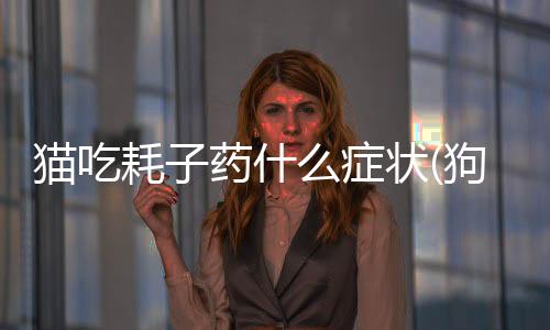 貓吃耗子藥什么癥狀(狗吃耗子藥什么癥狀)